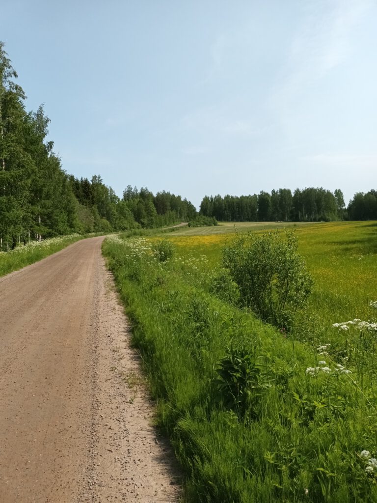 Landstraße in Südkarelien