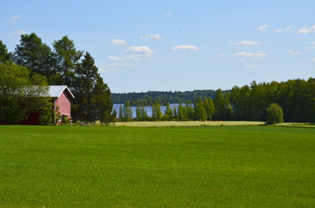 Landschaft am Tyrjänjärvi/Südkarelien