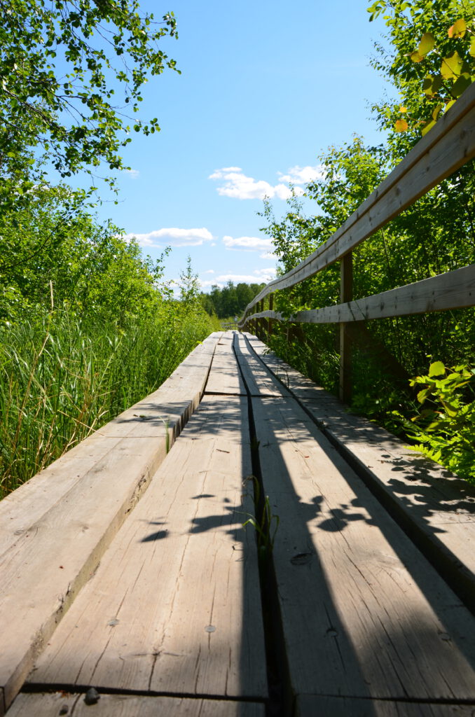 Siikalahti / Parikkala