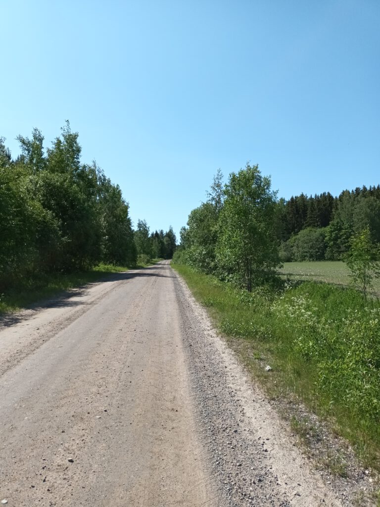 Straße in Südkarelien / Finnland